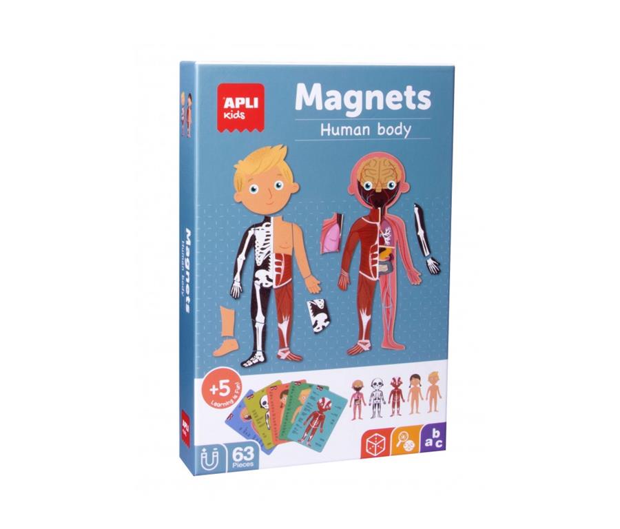 Apli Komplet magneti človeško telo