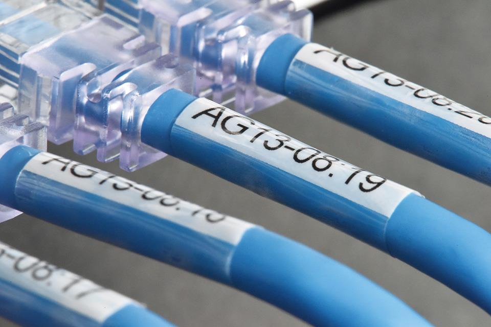 Brother TZESL251 Bel 24mm, samolaminirni trak