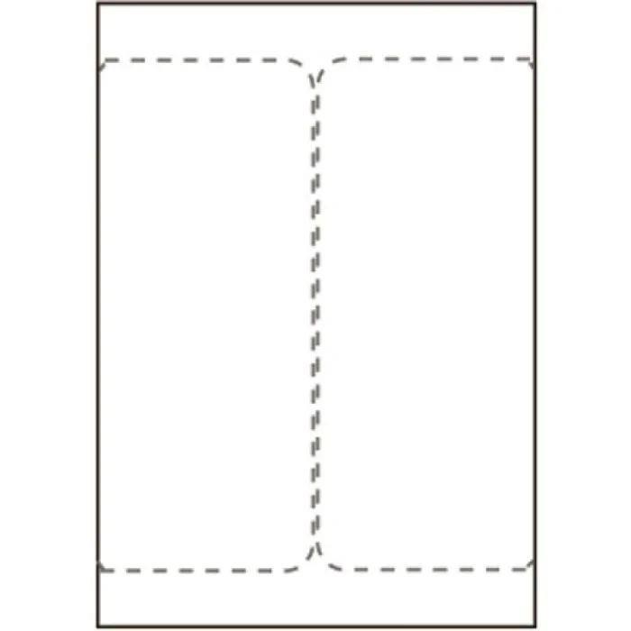 Capture Odpremna nalepka 105x220 mm LASER/INKJET