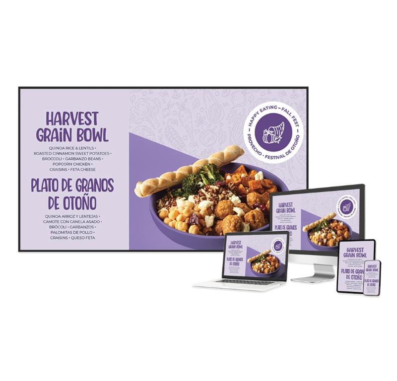 Newline Profesionalni LFD zaslon DSX 43''