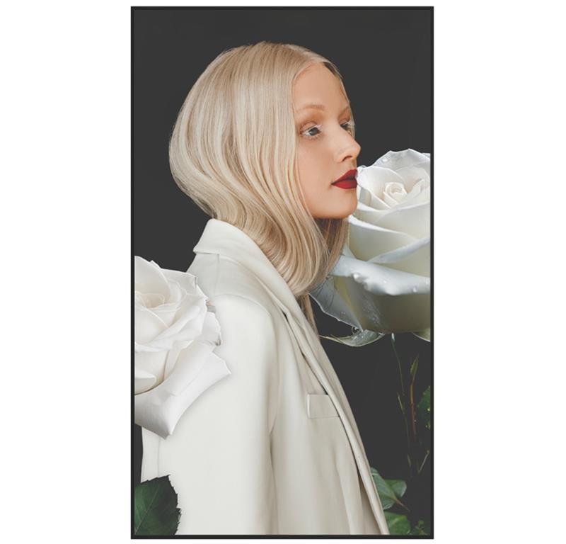 Newline Profesionalni LFD zaslon DSX 65''