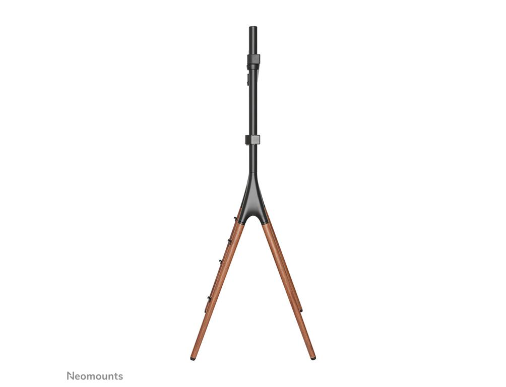 Neomounts Talno stojalo za TV 37-70"