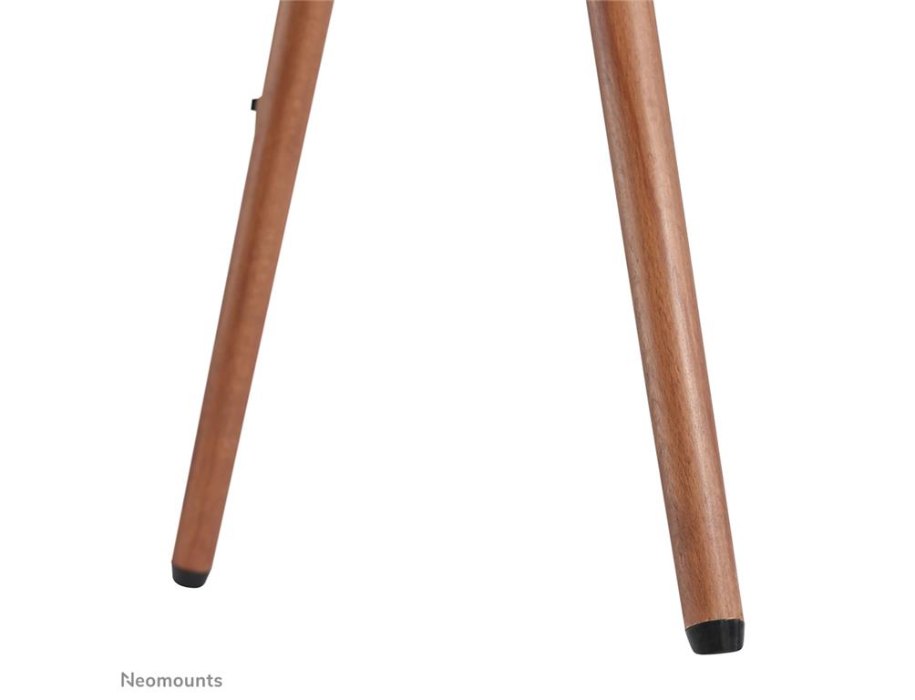 Neomounts Talno stojalo za TV 37-70"