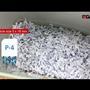 Dahle Uničevalnik dokumentov PaperSAFE PS 100 Dahle Uničevalnik dokumentov PaperSAFE PS 100